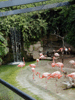 JPEG 107KB - You've always got to have flamingoes.
