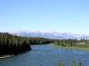 JPEG 67KB - A view of the Bow River and the Canadian Rockies.