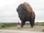 We spent a night enroute in Jamestown, ND and got to see the world's largenst buffalo.