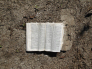 This bible was outside one home opened just as we found it after the flood to Psalms 68:9. 'Thou, O God, didst send plentiful rain.'
