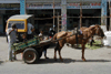 JPEG 47KB - Horse drawn carts are still a common sight around town.